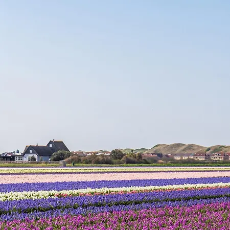 Dağ evi Luttikduin Nr 17 - Aan Zee *